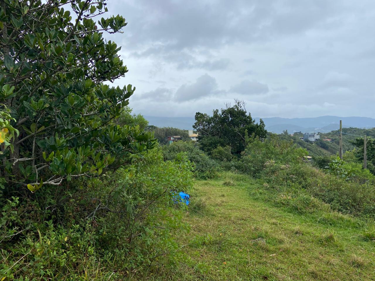 Área verde do terreno na Prainha do Silveira